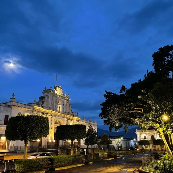 Meet your Posher, Heidy - Picture 2 of 4